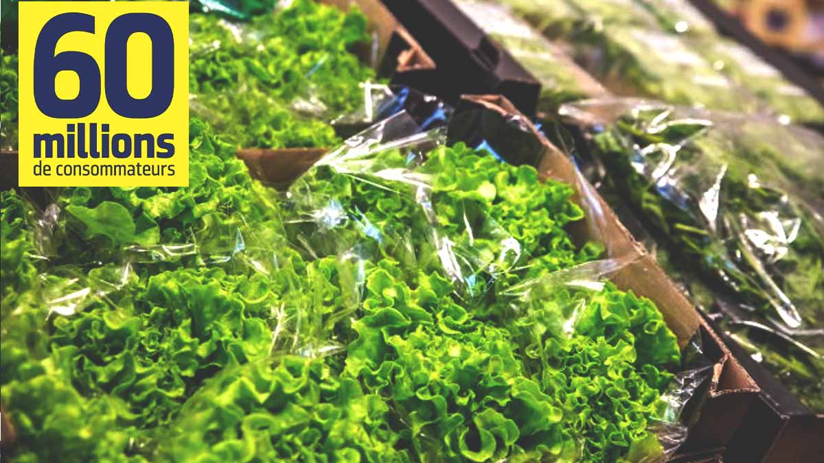 60 Millions de consommateurs alerte sur cette salade en supermarché, elle est remplie de pesticides