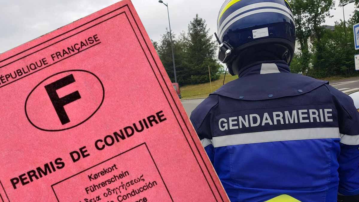 Les gendarmes sont sidérés : incognito depuis 28 ans, ce conducteur roulait avec un permis annulé en 1997