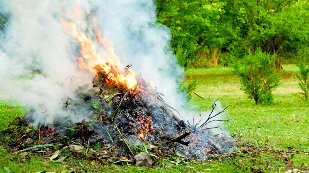 « Pas besoin d’enfumer tout le quartier » : feuilles, branches, pelouse, peut-on éliminer ses déchets verts dans son jardin ?