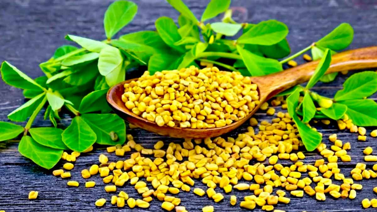 Fenugrec : ce breuvage naturel (et aphrodisiaque) aide à réduire le taux de sucre dans le sang baisser naturellement glycémie